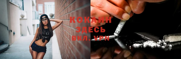 скорость Пересвет