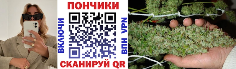 Каннабис планчик  Купить закладки  Артёмовск 